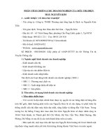 Phân tích chiến lược kinh doanh của nguyễn kim