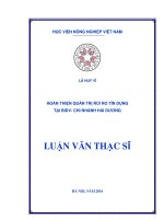 hoàn thiện quản trị rủi ro tín dụng tại bidv  chi nhánh hải dương 