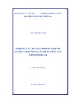 nghiên cứu tổ chức hoạt động của hợp tác xã nông nghiệp trên địa bàn huyện đông anh, thành phố hà nội 