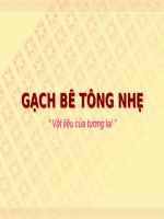 GẠCH BÊ TÔNG NHẸ “ Vật liệu của tương lai ''