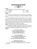 De thi giaoluu tieng viet lop 4 huong 2016 2017 mowis