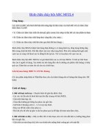 Bình chữa cháy bột ABC MFZL4 