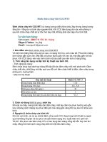 bình chữa cháy khí CO2 loại 3kg   sơn băng company 