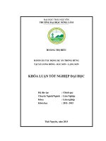 Đánh giá tác động dự án trồng rừng tại xã Long Đống  Bắc Sơn  Lạng Sơn