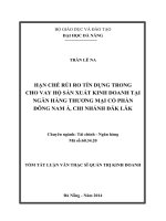 Hạn chế rủi ro tín dụng trong cho vay hộ sản xuất kinh doanh tại ngân hàng thương mại cổ phần đông nam á, chi nhánh đăk lăk