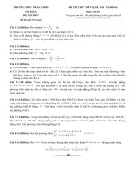 De thi thu Quoc gia mon toan truong Tram chim 