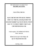 Hạn chế rủi ro tín dụng trong cho vay trung, dài hạn đối với doanh nghiệp tại ngân hàng TMCP đầu tư và phát triển việt nam chi nhánh đắk lắk