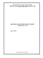 MẪU BÁO CÁO THÀNH TÍCH CÁ NHÂN NĂM 2016