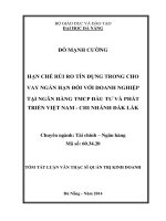 Hạn chế rủi ro tín dụng trong cho vay ngắn hạn đối với doanh nghiệp tại ngân hàng TMCP đầu tư và phát triển việt nam chi nhánh đăk lăk
