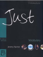 JUST vocabulary intermediate