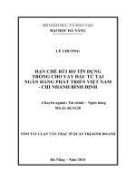 Hạn chế rủi ro tín dụng trong cho vay đầu tư tại ngân hàng phát triển việt nam   chi nhánh bình định