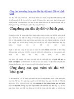 Công dụng của dâu tây đối với bệnh gout 