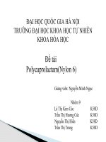 cấu tạo, tính chất, phương pháp tổng hợp, sản lượng toàn cầu và ứng dụng của polycaprolactam.  Nylon 6
