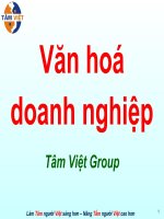 Bài giảng văn hóa doanh nghiệp (tâm việt)