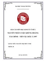 Tiểu luận môn kinh tế vĩ mô nguyên nhân cuộc khủng hoảng tài chính tiền tệ châu á 1997 