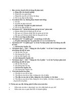 câu hỏi trắc nghiệm  lý thuyết kiểm toán