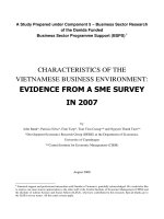 Ebook đặc điểm môi trường kinh doanh ở việt nam  phần 2