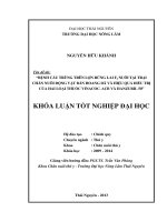 Bệnh Cầu Trùng Trên Lợn Rừng Lai F2 Nuôi Tại Trại Chăn Nuôi Động Vật Bán Hoang Dã Và Hiệu Quả Điều Trị Của Hai Loại Thuốc VINACOC. ACB Và Hanzuril 50