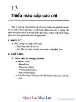 Ebook cấp cứu nội khoa  phần 2