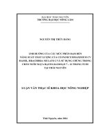 Ảnh Hưởng Mức Phân Đạm Đến  Năng Suất Chất Lượng Của Cỏ Panicummaximum Cv Hamil, Brachiria Mulato 2 Và Sử Dụng Chúng Trong Chăn Nuôi Ngựa Bạch Giai Đoạn 7 – 12 Tháng Tuổi