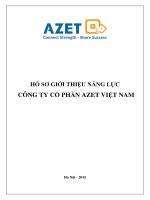 HỒ SƠ GIỚI THIỆU NĂNG LỰC CÔNG TY CỔ PHẦN AZET VIỆT NAM