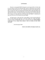 KINH NGHIỆM VỀ DỰ BÁO VÀ LỰA CHỌN CÔNG NGHỆ ƯU TIÊN CỦA MỘT SỐ NƯỚC TRÊN THẾ GIỚI