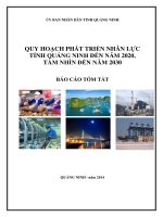 QUY HOẠCH PHÁT TRIỂN NHÂN LỰC TỈNH QUẢNG NINH ĐẾN NĂM 2020, TẦM NHÌN ĐẾN NĂM 2030