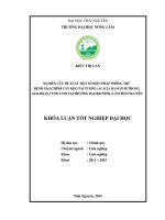 Nghiên cứu đề xuất một số biện pháp phòng trừ bệnh hại chính cây keo tai tượng (Acacia mangium) trong giai đoạn vườn ươm tại Trường Đại học Nông Lâm Thái Nguyên