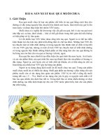 BÁO CÁO SẢN XUẤT RAU QUẢ MUỐI CHUA