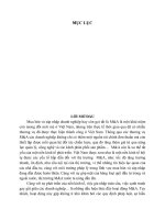 TIỂU LUẬN tìm HIỂU về một THƯƠNG vụ sáp NHẬP