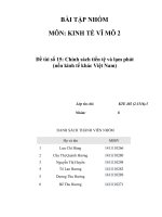 Tiểu luận môn kinh tế vĩ mô chính sách tiền tệ và lạm phát ( nền kinh tế khác việt nam ) 