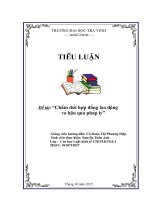 Tiểu luận chấm dứt hợp đồng lao động và hậu quả pháp lý