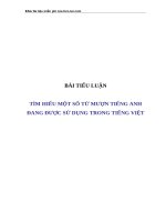 BÀI TIỂU LUẬN tìm HIỂU một số từ mượn TIẾNG ANH ĐANG được sử DỤNG TRONG TIẾNG VIỆT