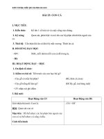 GIÁO án tự NHIÊN xã hội bài SOẠN CON cá 