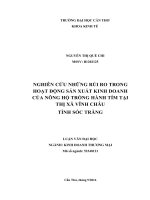 Nghiên cứu ảnh hưởng rủi ro sản xuất kinh doanh của nông hộ trồng Hành tím Vĩnh Châu, tỉnh Sóc Trăng