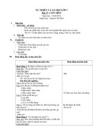 BÀI GIẢNG môn tự NHIÊN xã hội lớp 1   bài 27 CON mèo 