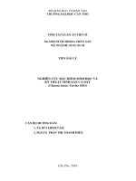 Nghiên cứu đặc điểm sinh học và kỹ thuật sinh sản cá dày (TT) 