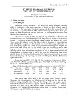 KỸ THUẬT THÂM CANH ĐẬU PHỘNG TRÊN NỀN ĐẤT XÁM TỈNH LONG AN