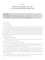 Ebook chẩn đoán hình ảnh xquang (dùng cho đào tạo cao đẳng kỹ thuật hình ảnh y học)  phần 2