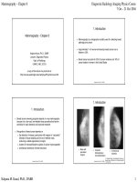 Chụp nhũ ảnh (Mammography)