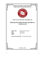 Đánh giá hoạt động thương mại điện tử e-commerce Amazon