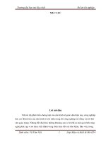 ĐỒ ÁN THIẾT KẾT BĂNG TẢI TREO B650 MỎ THAN NAM MẪU TKV