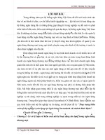 Thực trạng kiểm soát nội bộ nghiệp vụ tín dụng tại Ngân hàng Sacombank chi nhánh Bình Định