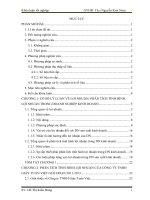 PHÂN TÍCH TÌNH HÌNH LỢI NHUẬN CỦA CÔNG TY TNHH GIÀY TUẤN VIỆT GIAI ĐOẠN 20112013