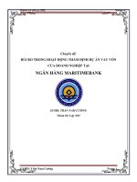 Quản trị rủi ro trong ngân hàng Thương Mại MARITIME BANK
