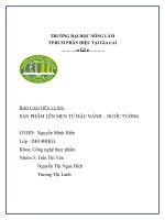 SẢN PHẨM LÊN MEN TỪ ĐẬU NÀNH:  NƯỚC TƯƠNG