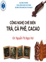 CÔNG NGHỆ CHẾ BIẾN TRÀ, CÀ PHÊ, CACAO