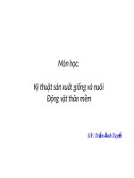 Bài giảng kỹ thuật sản xuất giống và nuôi động vật thân mềm