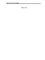 Giải pháp bảo vệ và phát triển thương hiệu MobiFone tại công ty Thông tin di động khu vực thành phố Hồ Chí Minh