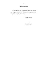 Phát triển thị trường bán lẻ hàng tiêu dùng ở nông thôn Việt Nam thời kỳ 2010 - 2020